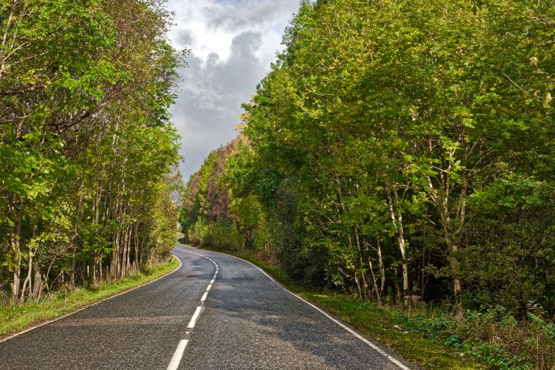 Chip And Seal Paving detail